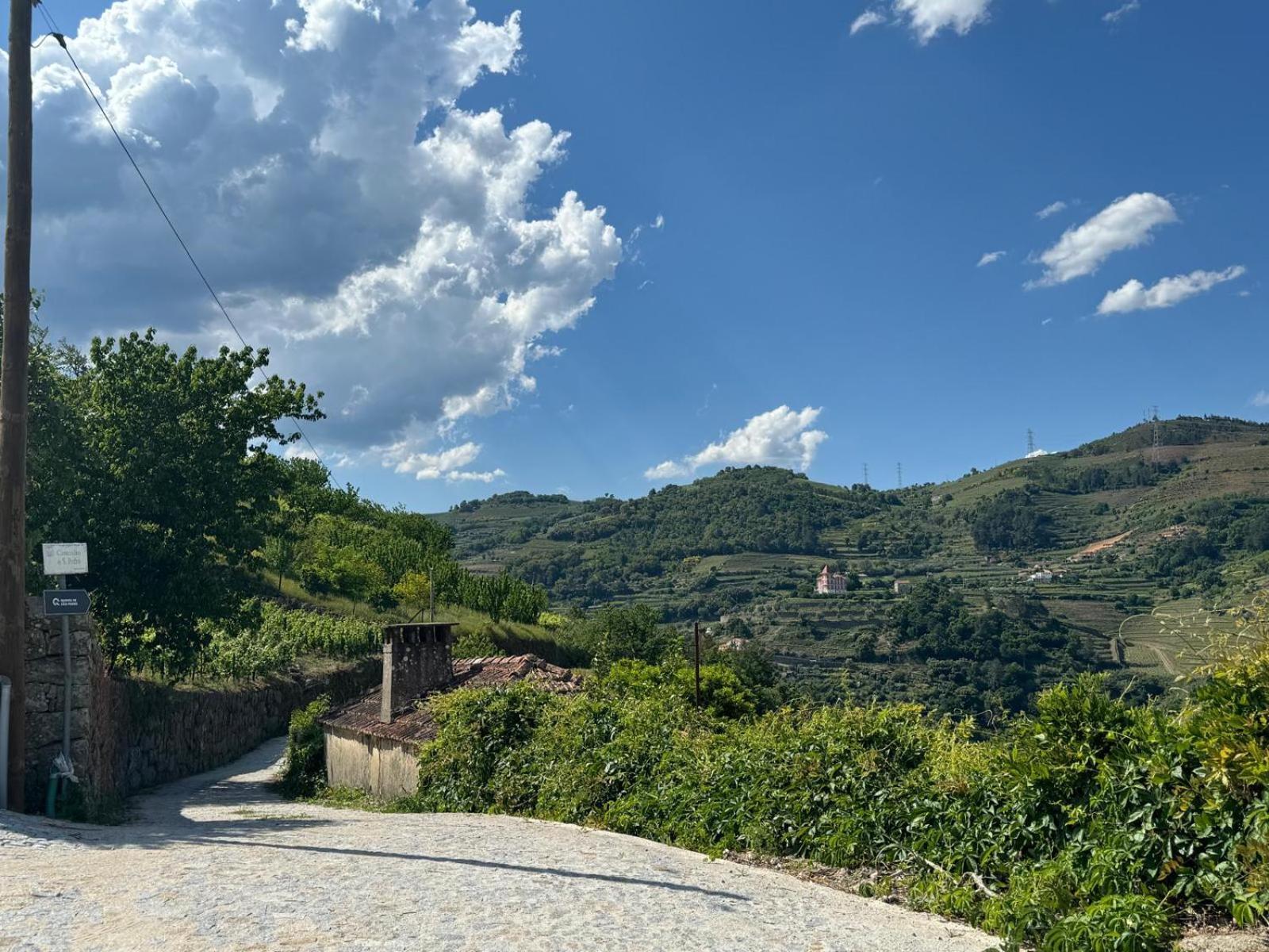 Quinta de São Pedro Casa de hóspedes Barro  Exterior foto